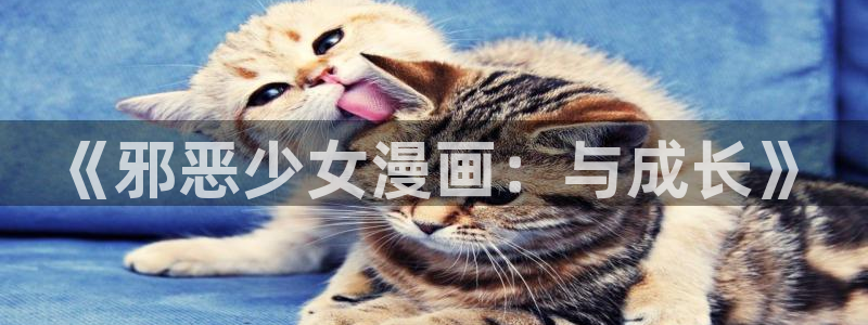 漫画之家为什么不能看了